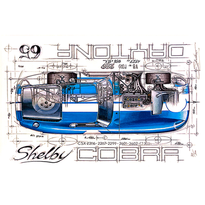  COBRA SHELBY DAYTONA 65